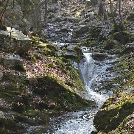 La Lisiere